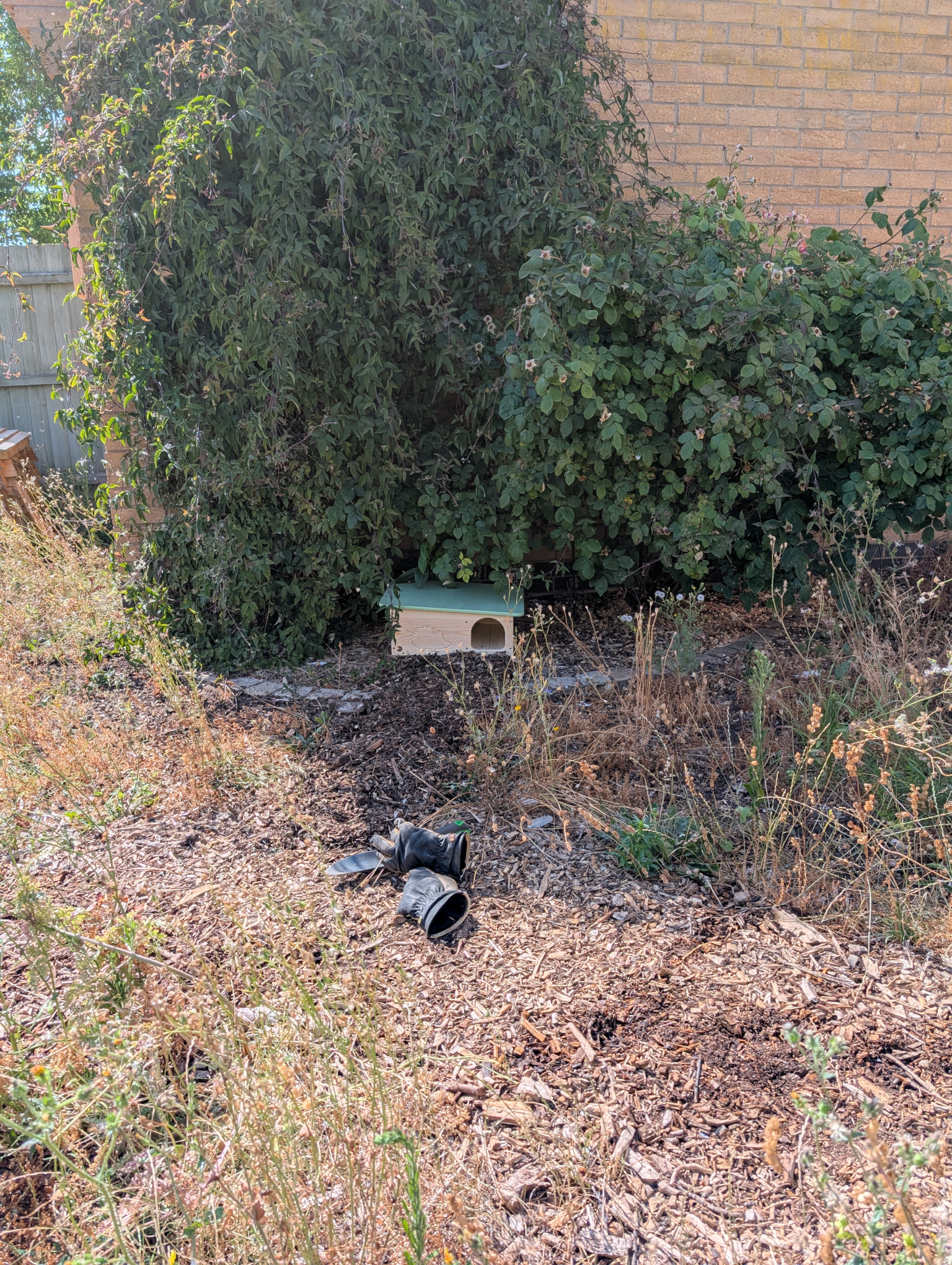 Hedgehog house: a hedgehouse, if you will.
